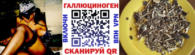 МЕГА как войти Сертолово Галлюциногенные грибы мицелий
