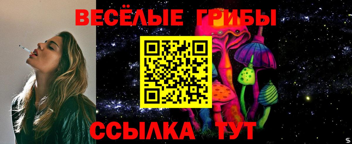 Галлюциногенные грибы MAGIC MUSHROOMS Сертолово